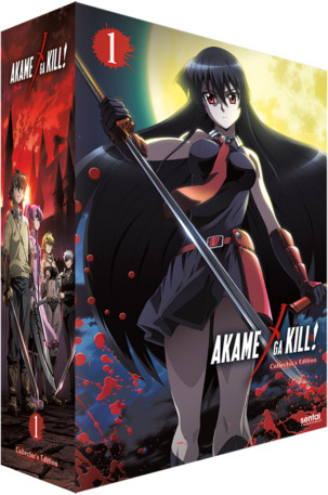 Akame Ga Kill Anime Night Raid Characters Premium Poster