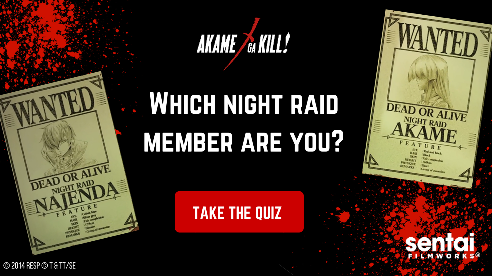 Akame ga Kill! Which Night Raid Member Are You? [QUIZ] 