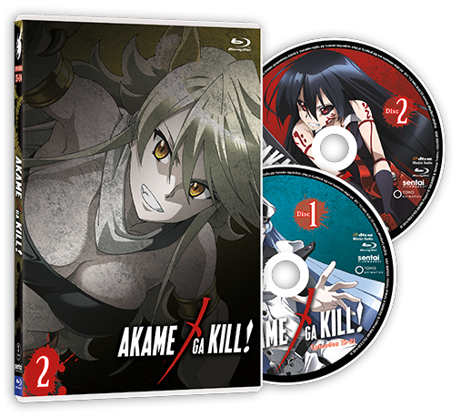 Tuesday New Releases: Akame ga Kill! Collection 2 - Sentai Filmworks