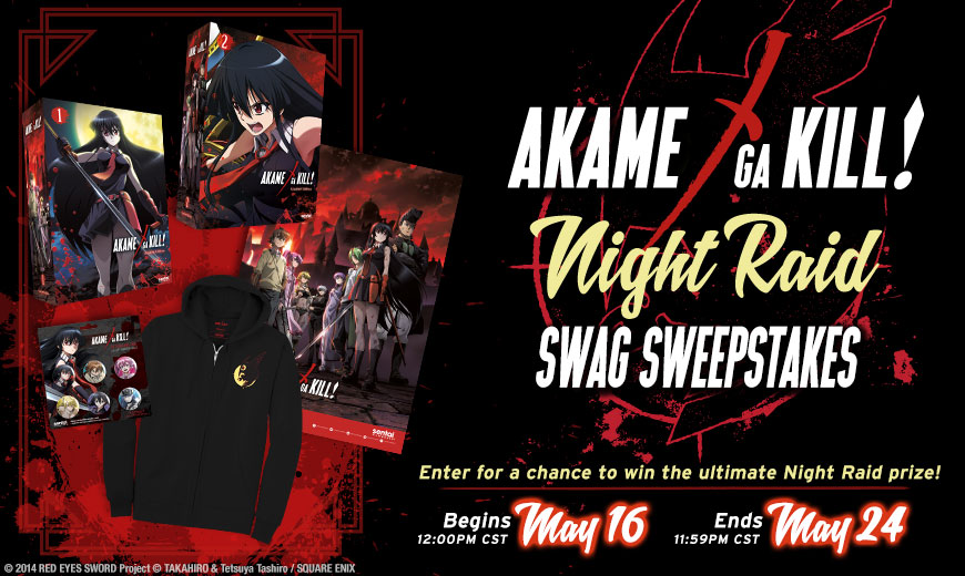 Akame Ga Kill Anime Night Raid Characters Premium Poster