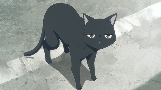 Happy International Cat Day! Anime Cats We Adore - Sentai Filmworks