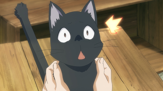 Happy International Cat Day! Anime Cats We Adore - Sentai Filmworks