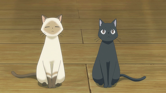 Happy International Cat Day! Anime Cats We Adore - Sentai Filmworks