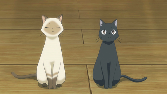 Best Anime Cats