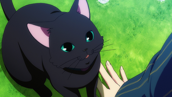 Happy International Cat Day! Anime Cats We Adore - Sentai Filmworks
