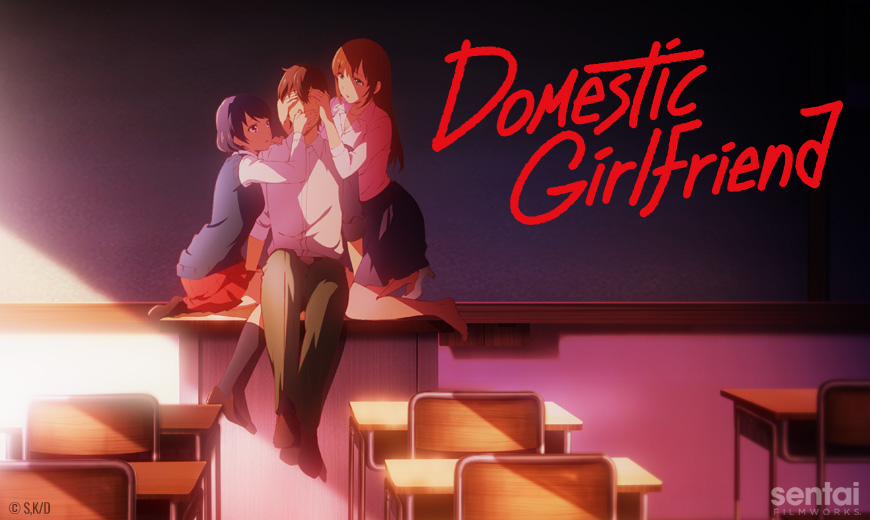 Domestic Girlfriend (manga) - Anime News Network