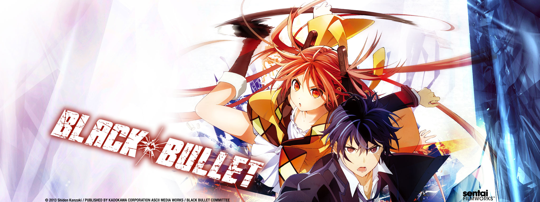 all black bullet price