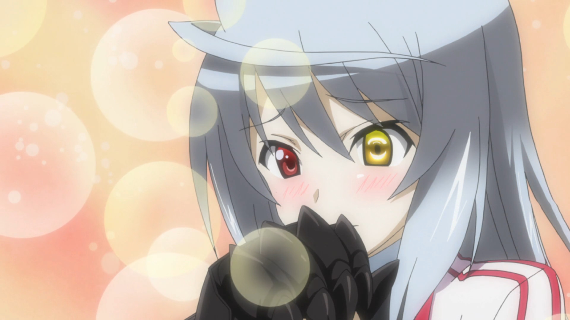 IS: Infinite Stratos - Release Order