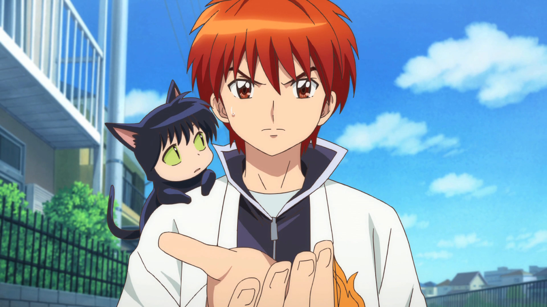 Kyoukai no Rinne (Rin-ne)