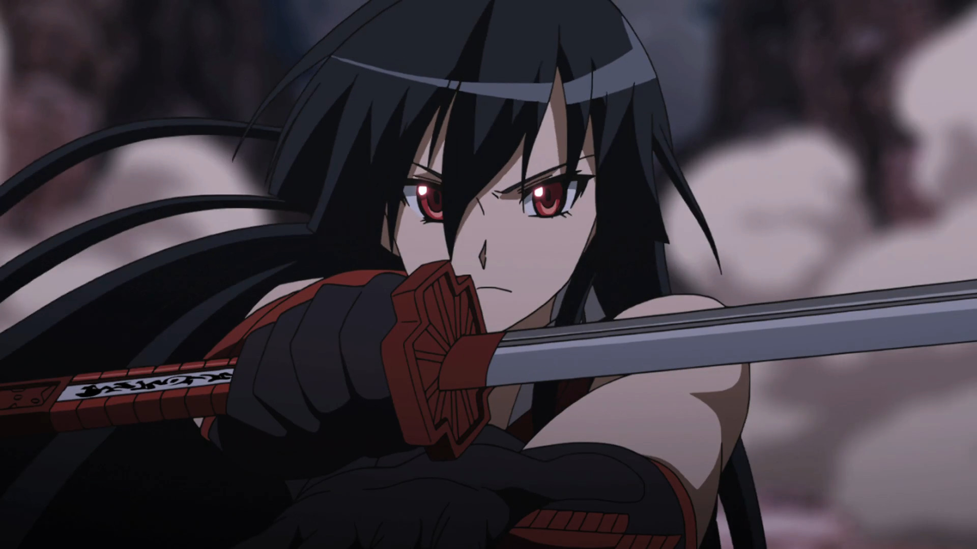 Akame Ga Kill!, Toonami Wiki