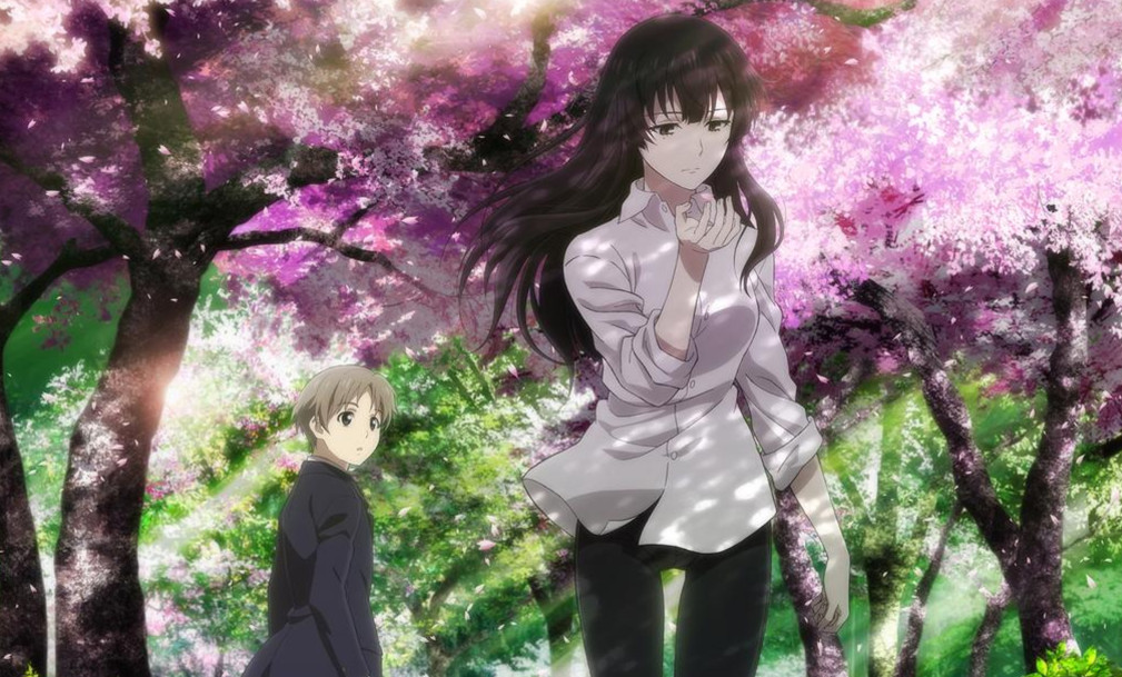 Sentai Filmworks Licenses "Beautiful Bones -Sakurako's Investigation-"