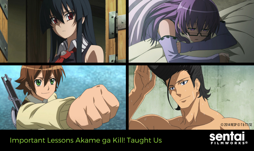 Akame ga Kill! - Página 4 - 2014