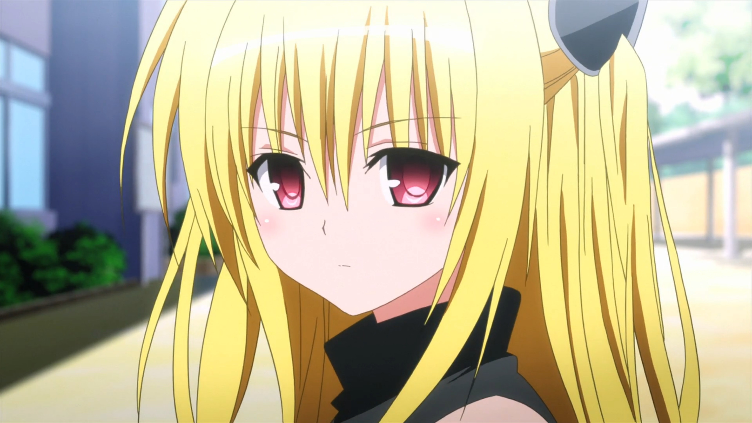 Black haired and blonde haired female anime characters HD wallpaper |  Wallpaper Flare