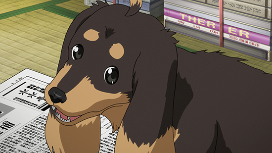 6 Best Anime Dogs - The List - Anime News Network