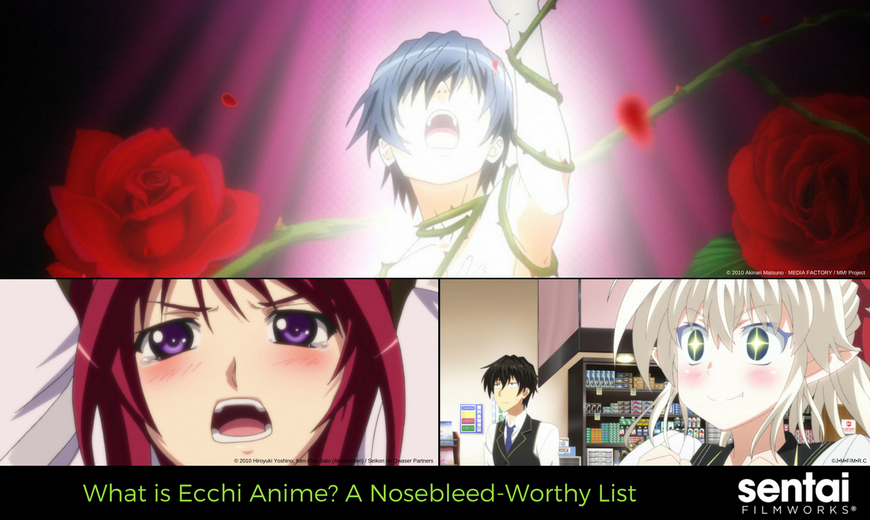 Harem Anime That Take the Genre to the Next Level - Sentai Filmworks