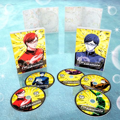 Haven't You Heard? I'm Sakamoto Discs