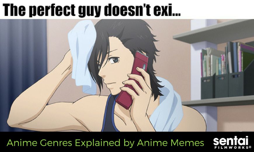 Anime Genres Explained by Anime Memes - Sentai Filmworks