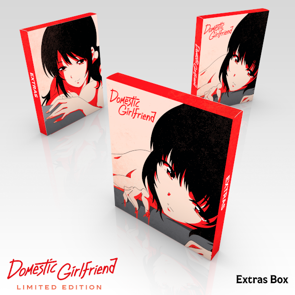 A photo of the extras box included in the Domestic Girlfriend Premium Box Set.