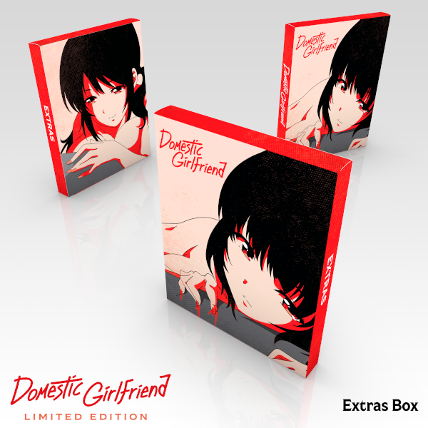 Box Dvd Domestic Na Kanojo Girlfriend Sem Censura