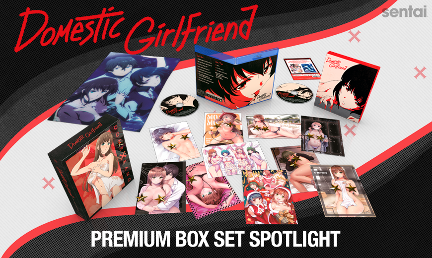 Domestic Girlfriend Complete Collection Review • Anime UK News