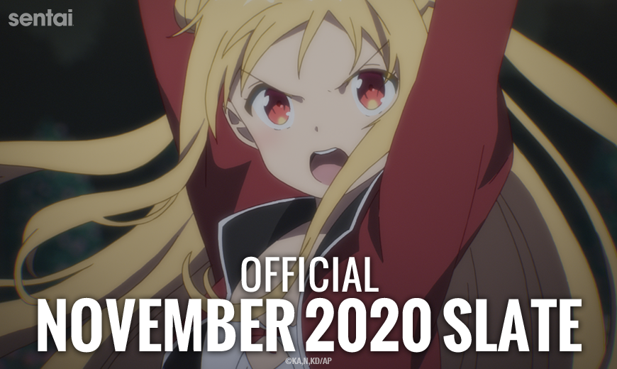 Sentai Official November 2020 Slate