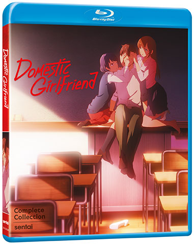 The front Blu-ray cover for Domestic Girlfriend