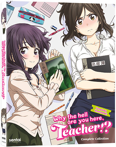 The front Blu-ray cover for Why the hell are you here, Teacher!?